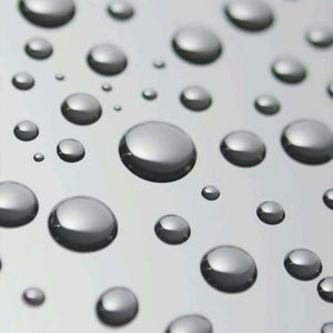 Meet your Posher, Bobbie